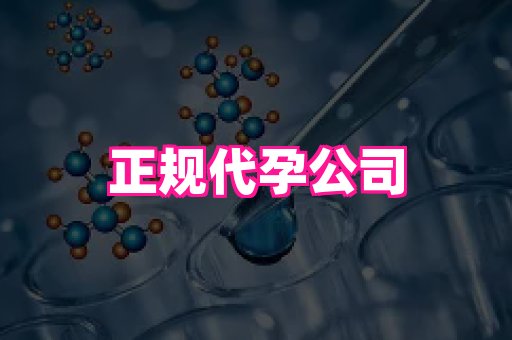 南昌助孕网 3